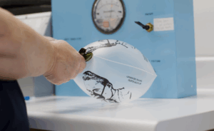 Quality Assurance testing