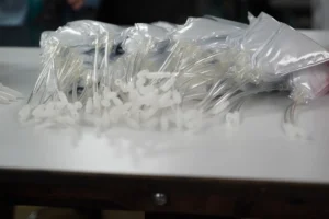 Sage Primo Fits for Urine Management